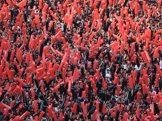 1764749882 transform