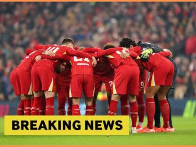 1765171746 transform